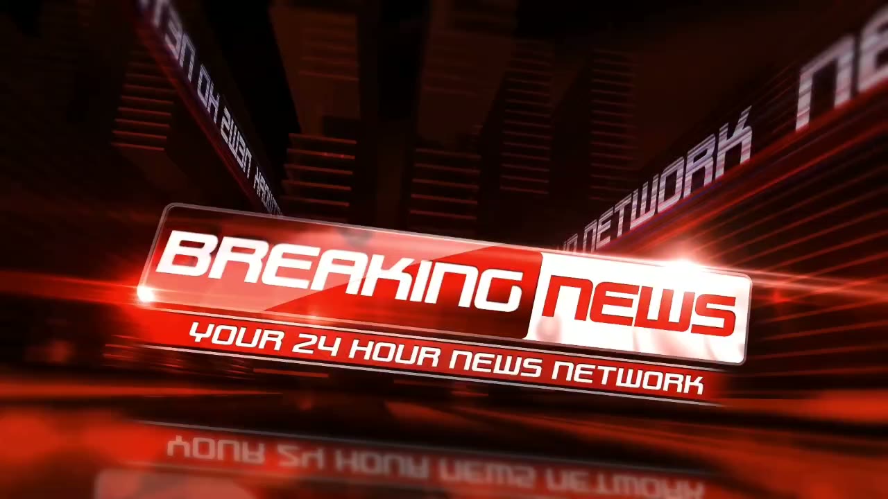 WordSearch.life Newsroom anchor reporting live: the puzzle world just changed forever